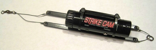 Image: Shane Chalker